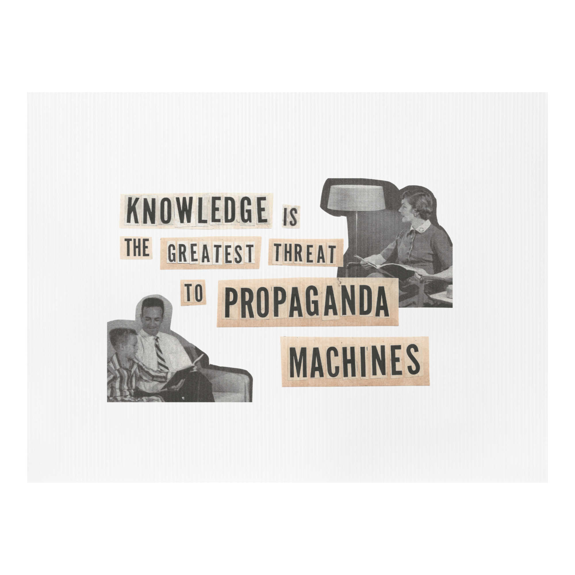 'Knowledge is a Threat' Yard Sign